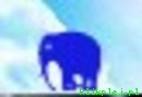Elephant Rave