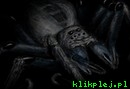 Arachnid Wars 1.5