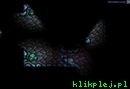 Rune Hunt
