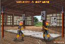 Samurai Warrior