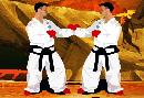 Teakwondo