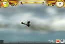 Hostile Skies