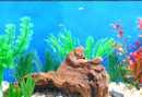 Fish Tycoon