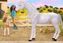 Cali Girl Horse Adventure