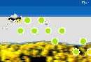 Symphony in Bee