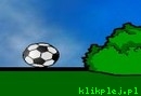Goal In One